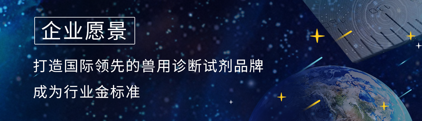 企業(yè)愿景.png